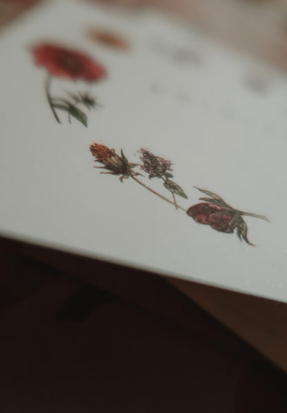 Paldies, square flat card