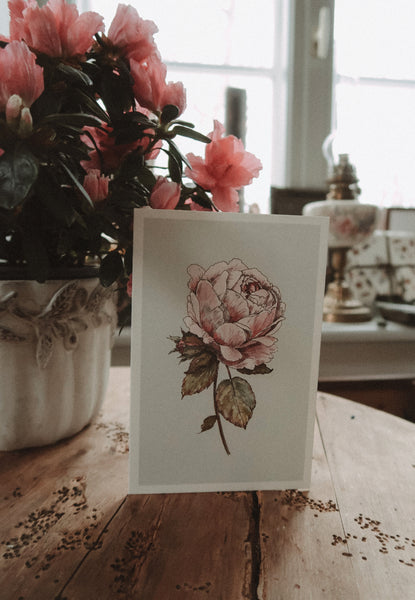 Romantic vintage rose card, folded card