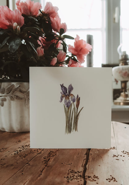 Blue iris flower, folded card