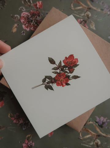 Red roses, folded card