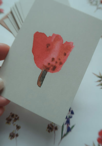 Red tulip / small flat card