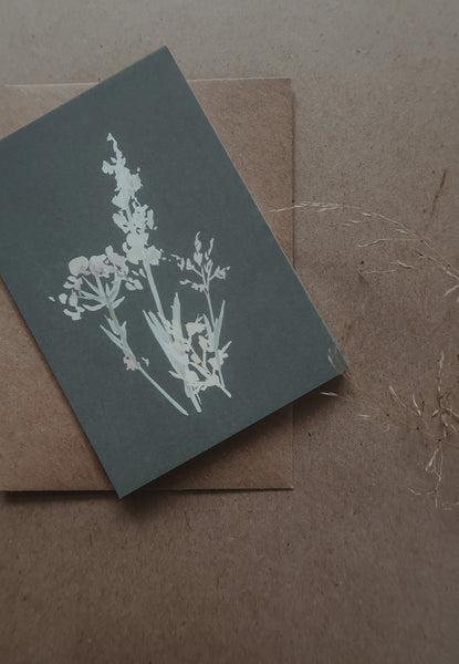 Meadow grasses / small flat card