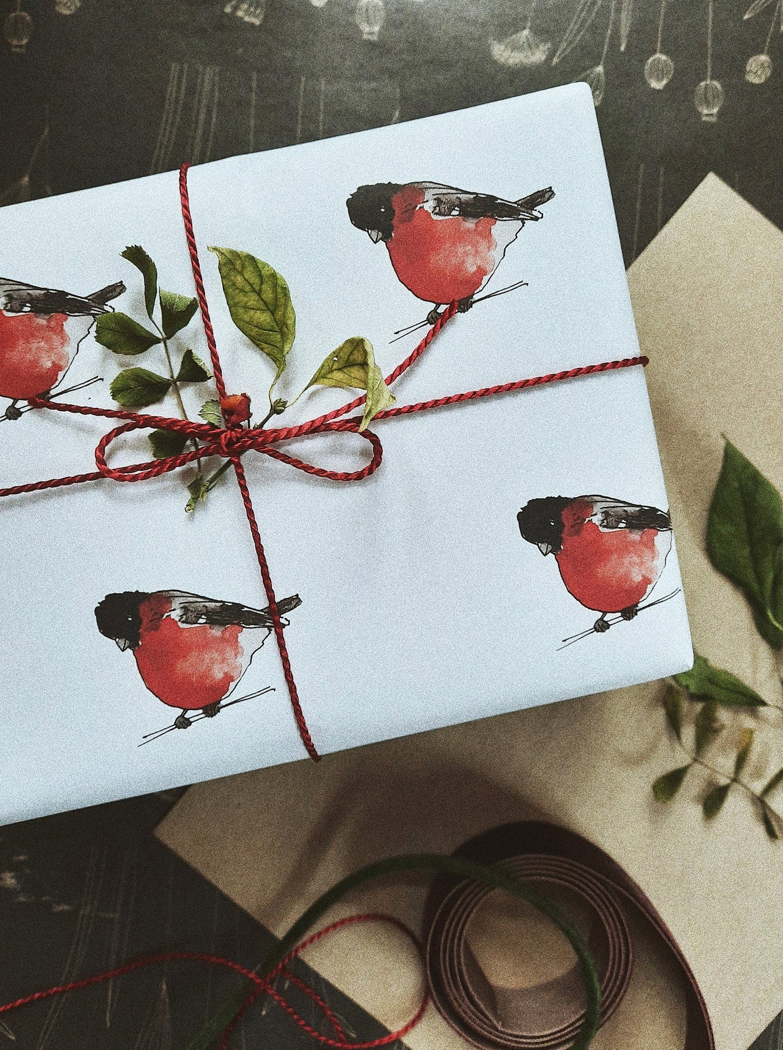 Red breasts white wrapping paper