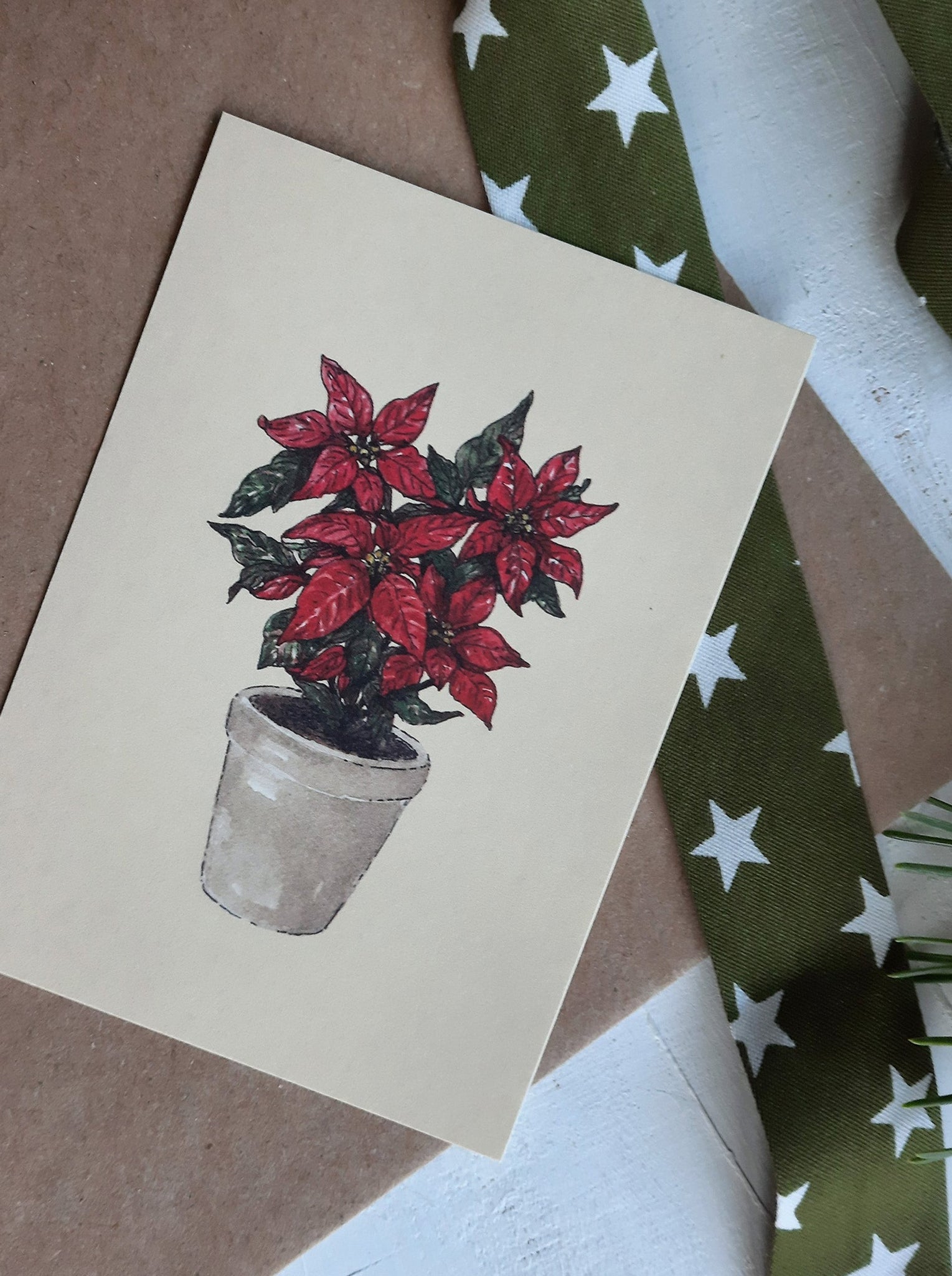 Poinsettia plant/small flat card