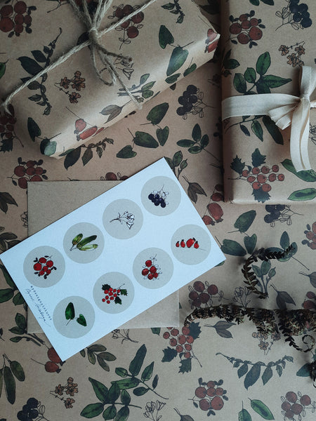 Berries and plants sticker set