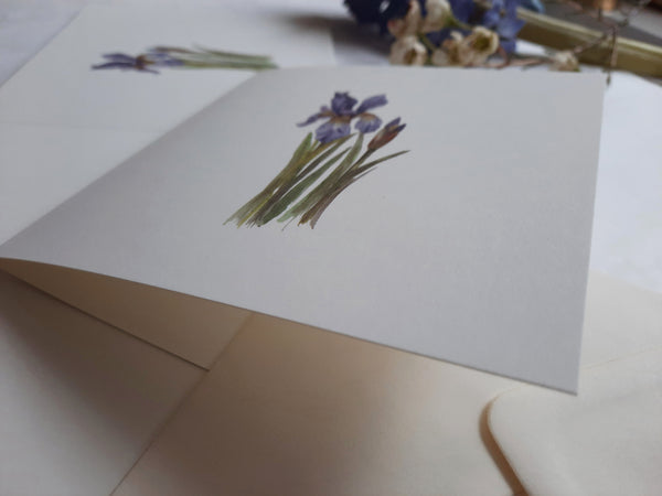 Blue iris flower, folded card