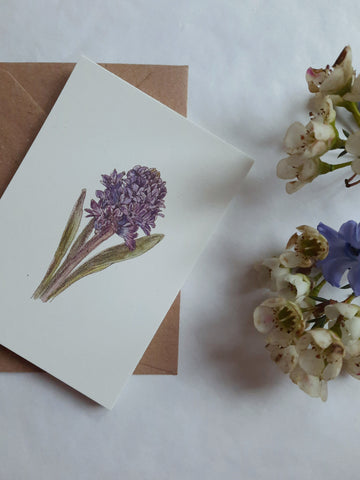 Blue hyacinth card, small flat card