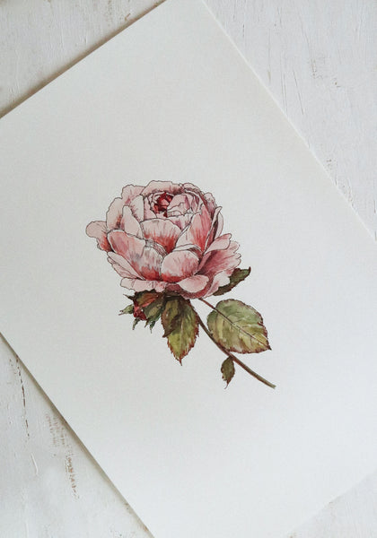Vintage rose ART PRINT/wall decor