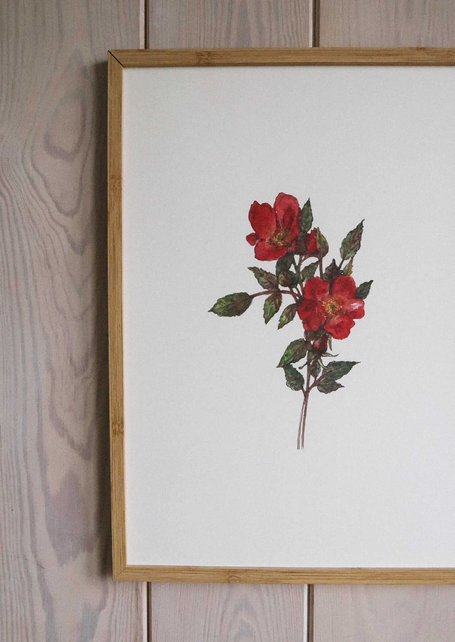 Red roses ART PRINT/wall decor