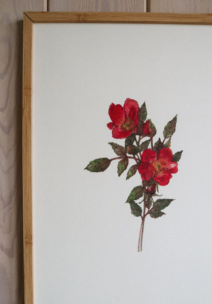 Red roses ART PRINT/wall decor