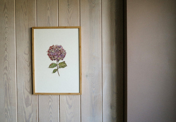 Purple hydrangea ART PRINT/wall decor