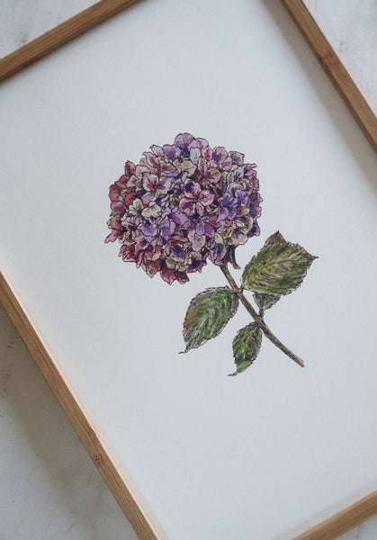 Purple hydrangea ART PRINT/wall decor