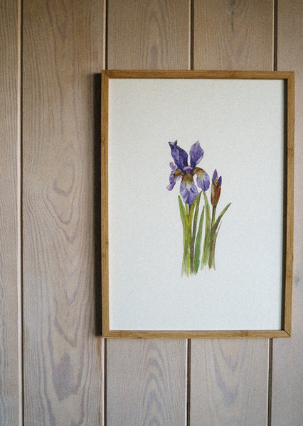 Blue iris ART PRINT/wall decor