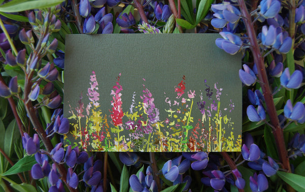 Summer meadow on dark grey, postcard